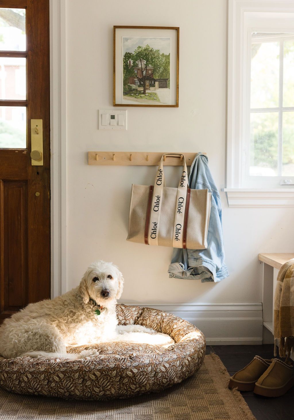 Printed Dog Bed - Rug & Weave