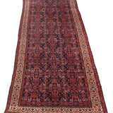 3'4" x 9'11" Vintage Andelz Rug