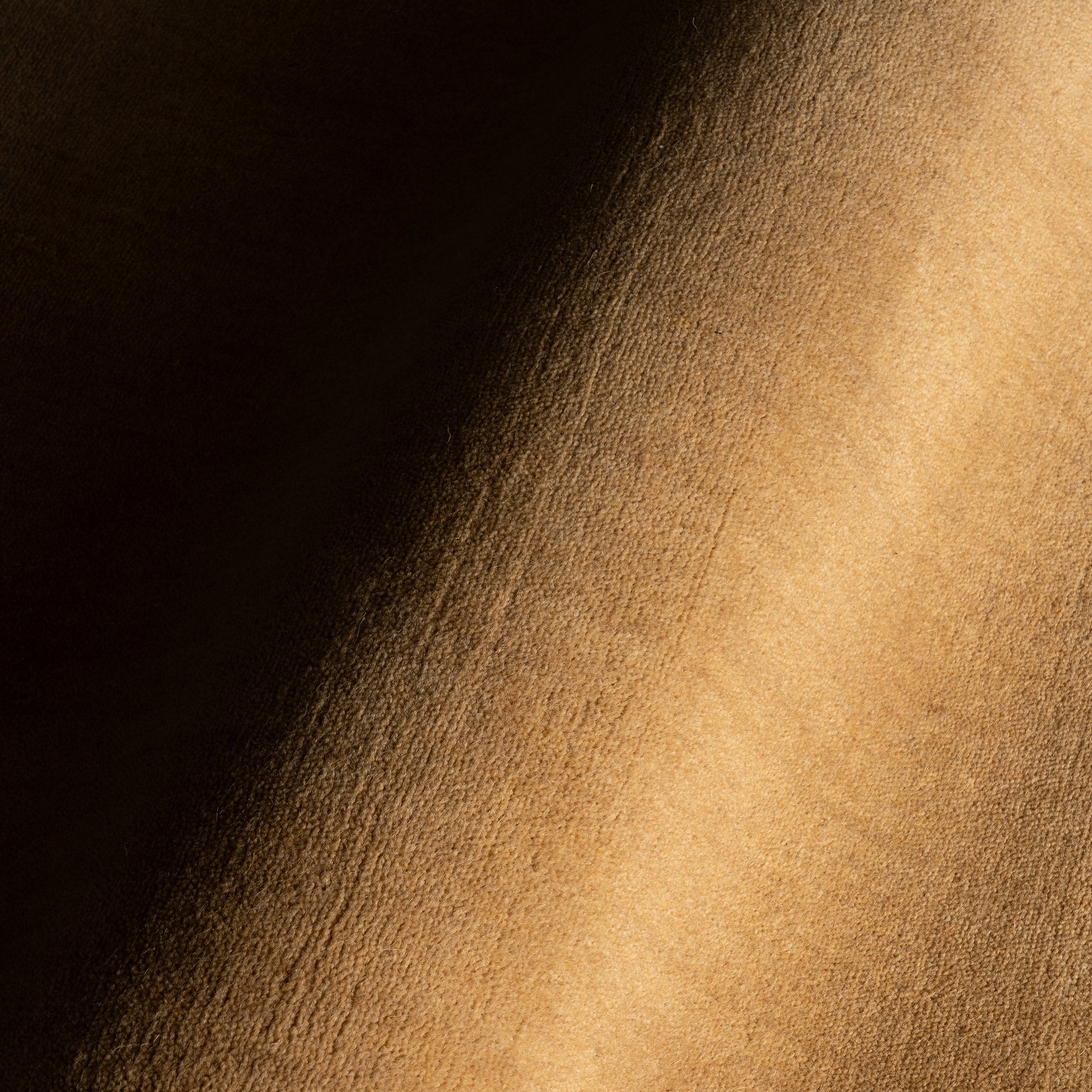 Taniea Modern Rug RUGS - wool Dash & Albert