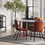 Izzy Dining Chairs - set of 2 10 - a - FURNITURE - dining chair Moe's Furniture