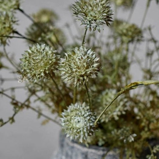 Faux Melaleuca Grey Stem faux stem Abigail Ahern (Aesthetic Movement)