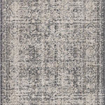 Amber Lewis x Loloi Alie Charcoal / Dove 0-patterned rugs Loloi