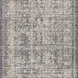Amber Lewis x Loloi Alie Charcoal / Dove 0-patterned rugs Loloi