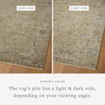 Loloi Briar Olive / Stone Rug RUGS - synthetic Loloi