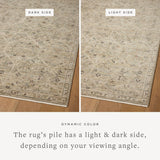 Loloi Briar Silver / Moss Rug RUGS - synthetic Loloi