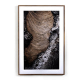 “Char VI” Framed Art Print 32” x 48” NA SKU - not for online Four Hands