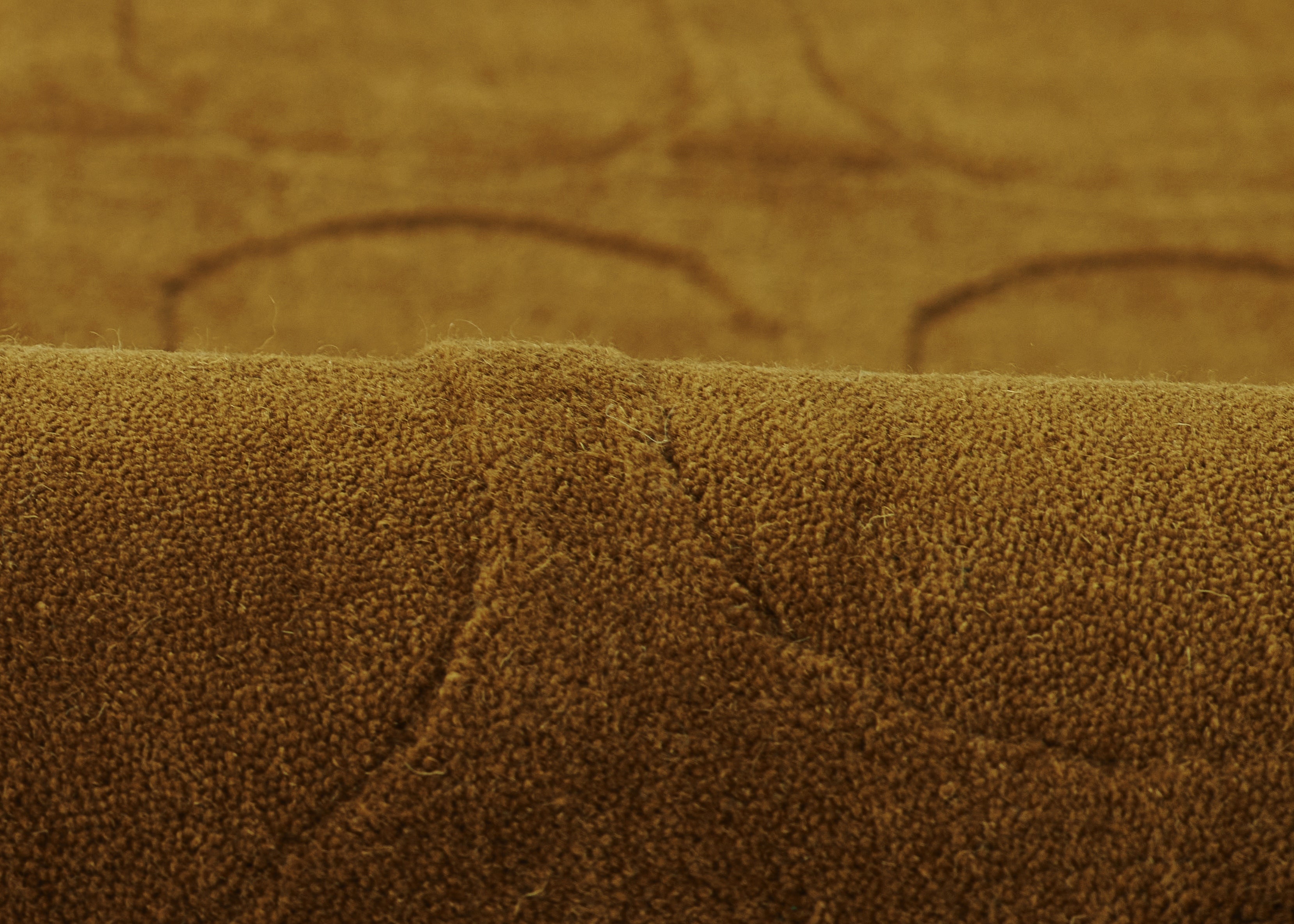 Contura Arcadia Hand Loomed Rug RUGS - wool Momeni