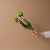 Faux Dynasty Peony Tulip Bundle faux stem Tri W Imports