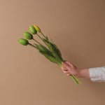 Faux Dynasty Peony Tulip Bundle faux stem Tri W Imports