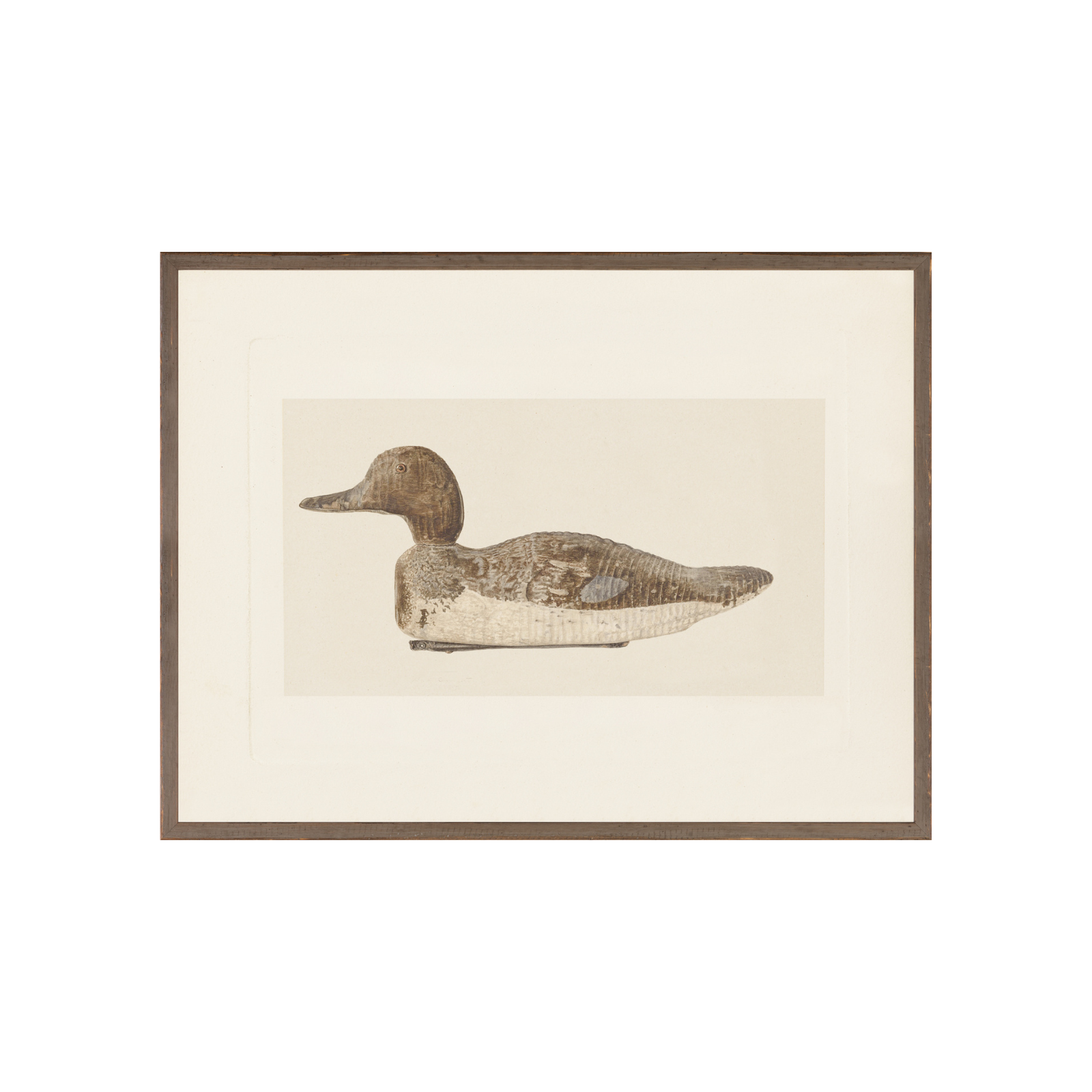 "Decoy Duck I" Framed Art Print ARTWORK - framed print Celadon Art