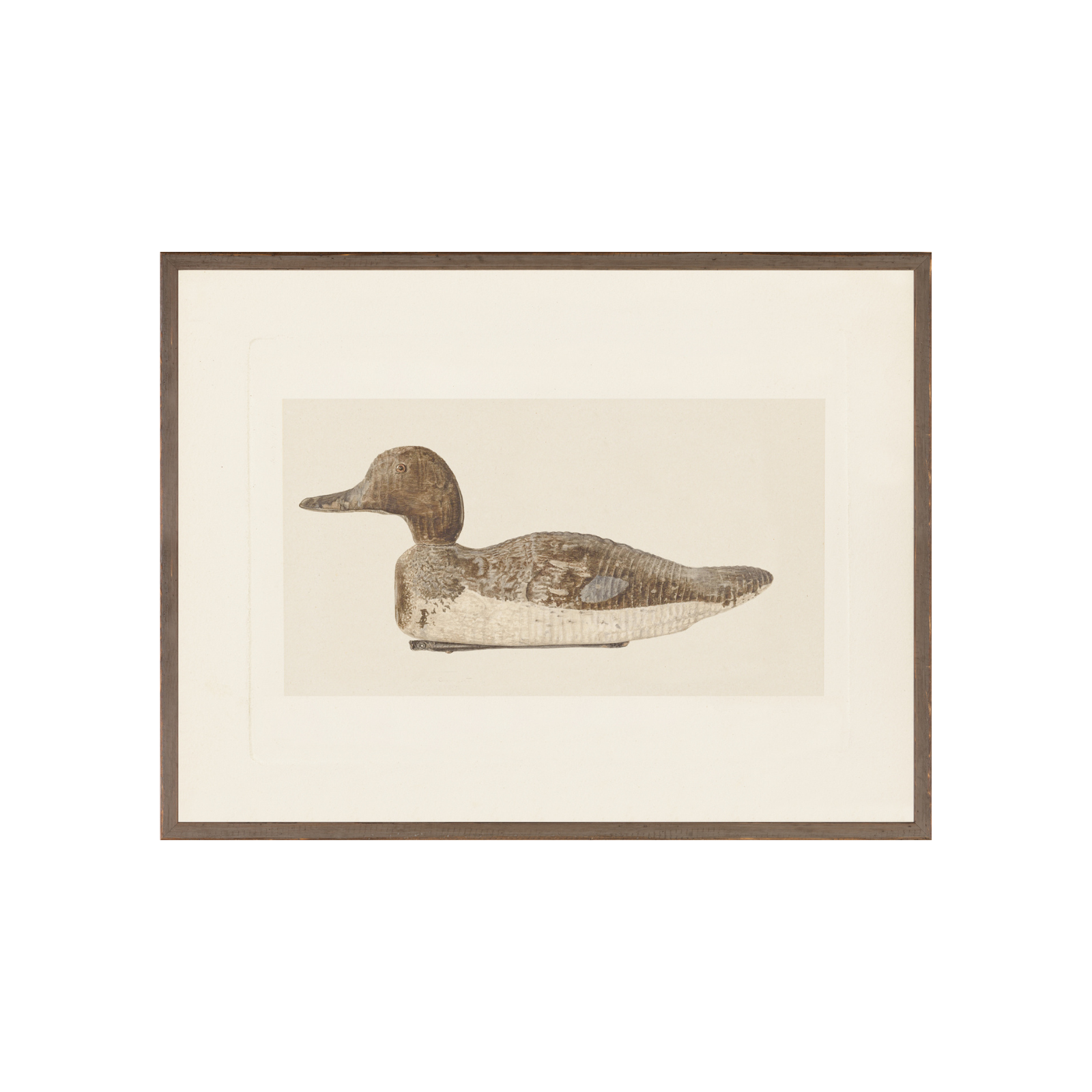 "Decoy Duck" Framed Art Print