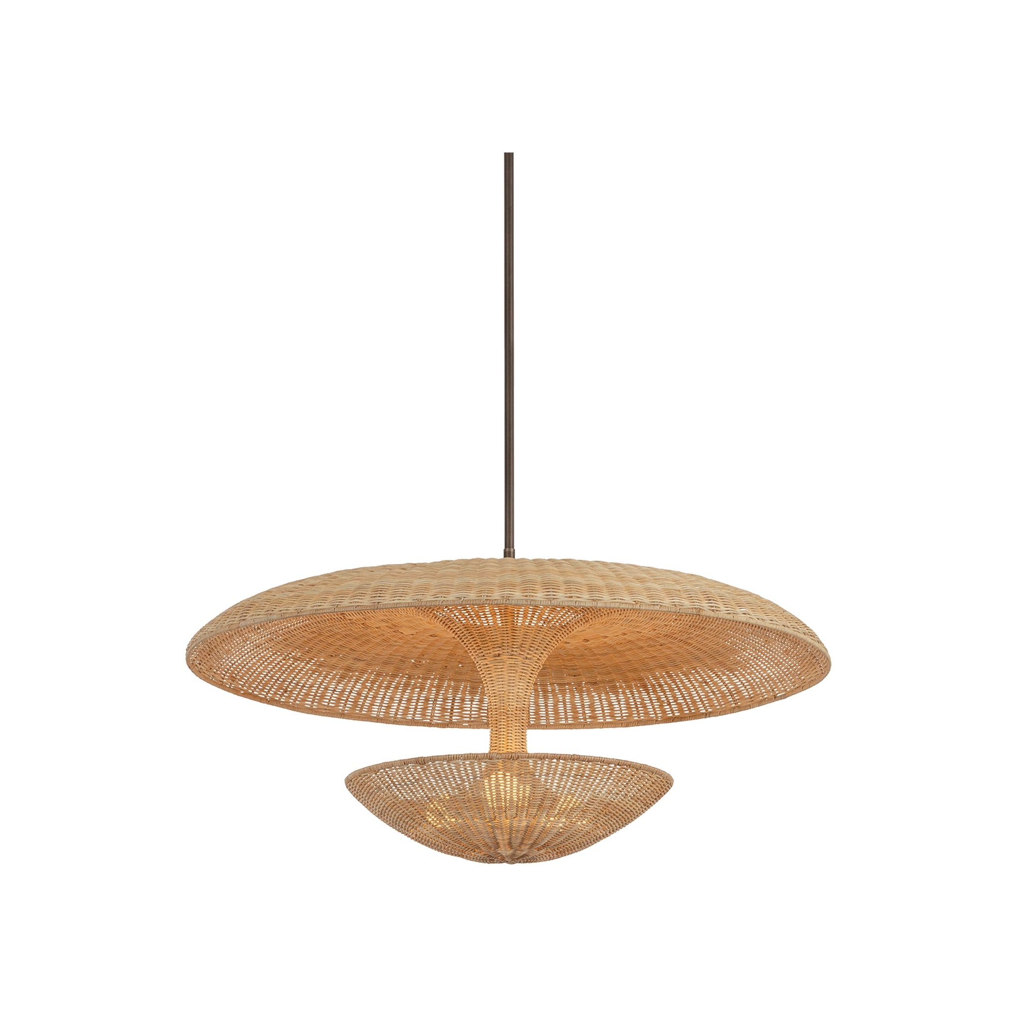 Draco Pendant LIGHTING - pendant Hudson Valley Lighting Bronze Leaf Large
