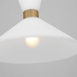 Belcarra Medium Pendant LIGHTING - pendant Visual Comfort