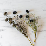 Faux Melaleuca Grey Stem faux stem Abigail Ahern (Aesthetic Movement)