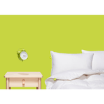 Hutterite White Down Duvet Duvet Canadian Down & Feather Company