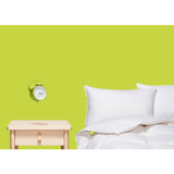 Hutterite White Down Duvet Duvet Canadian Down & Feather Company