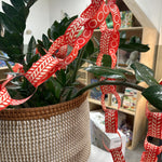 Paperchain Garland CHRISTMAS 2025 Cambridge Imprint (Faire)