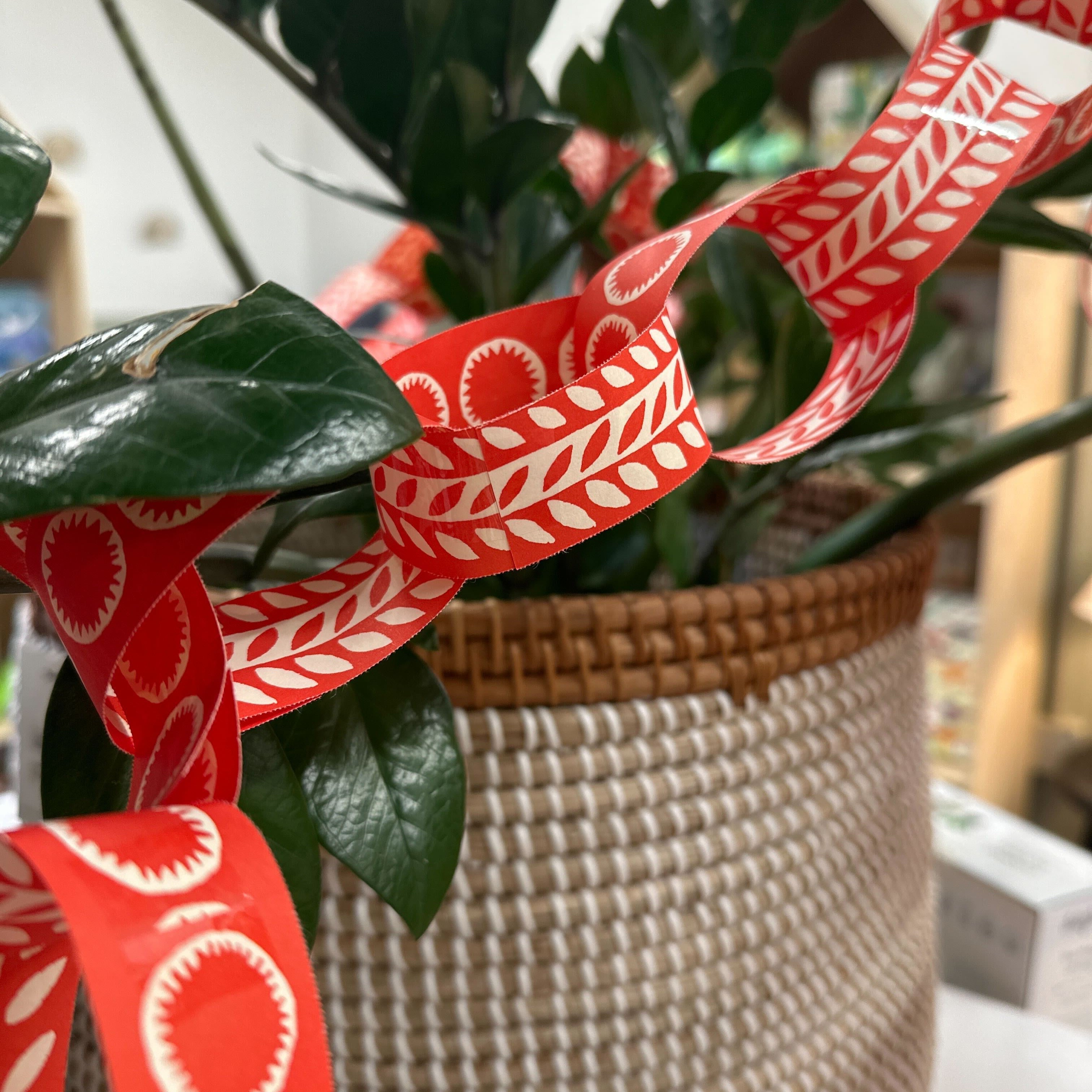 Paperchain Garland CHRISTMAS 2025 Cambridge Imprint (Faire)