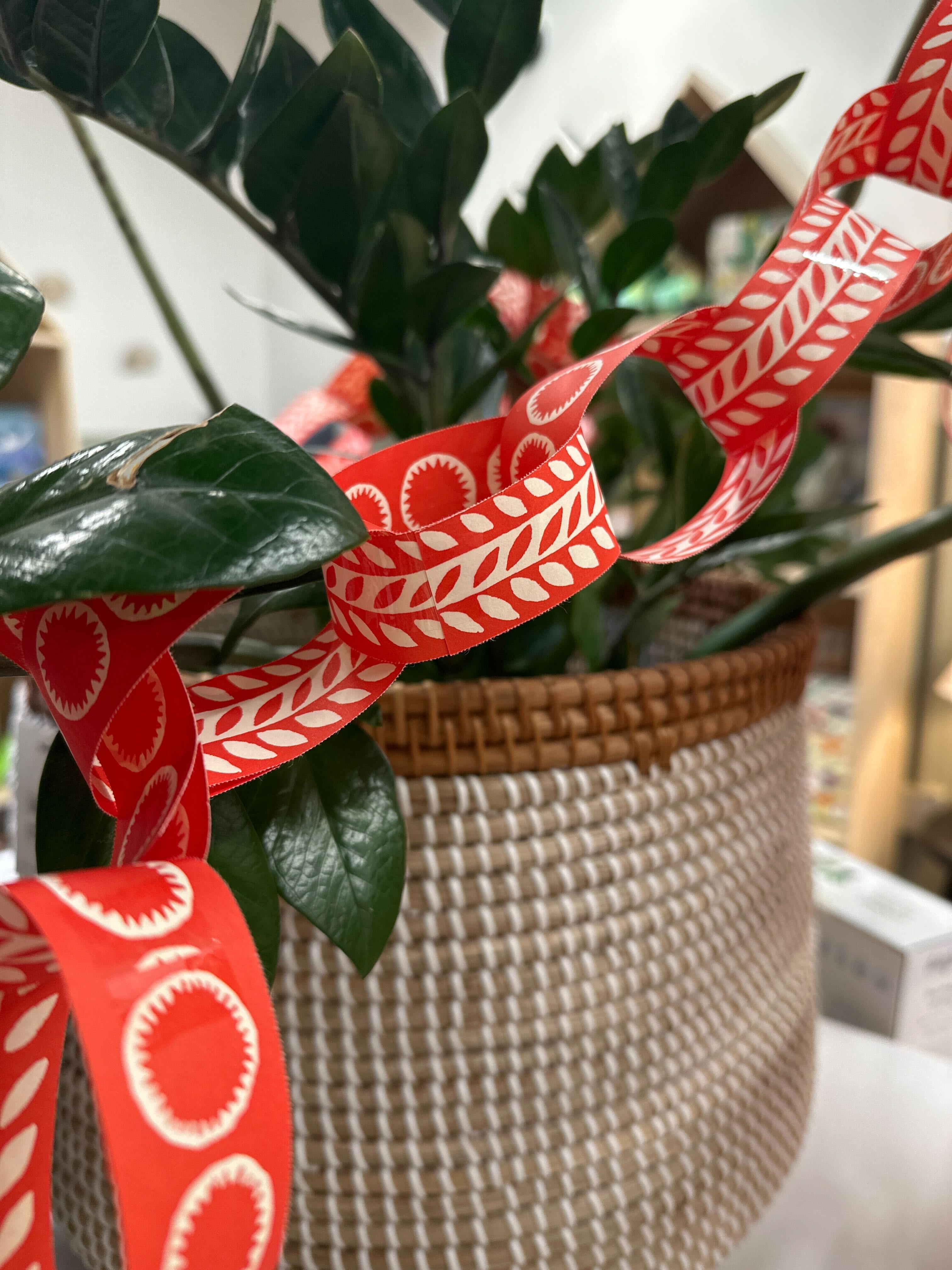 Paperchain Garland CHRISTMAS 2025 Cambridge Imprint (Faire)