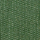 Jasper Evergreen