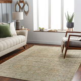 Kenzi Hand Knotted Rug