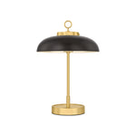 Hector Rechargeable Table Lamp LIGHTING - table lamp Hudson Valley Lighting Aged Brass