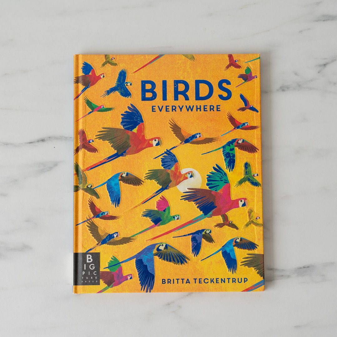 "Birds Everywhere" by Camilla de la Bedoyere FINNBIRD - book Penguin Random House