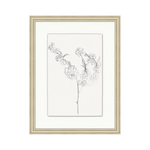 "Floral Sketch" Framed Art Print ARTWORK - framed print Wendover Art Group