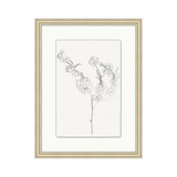 "Floral Sketch" Framed Art Print ARTWORK - framed print Wendover Art Group