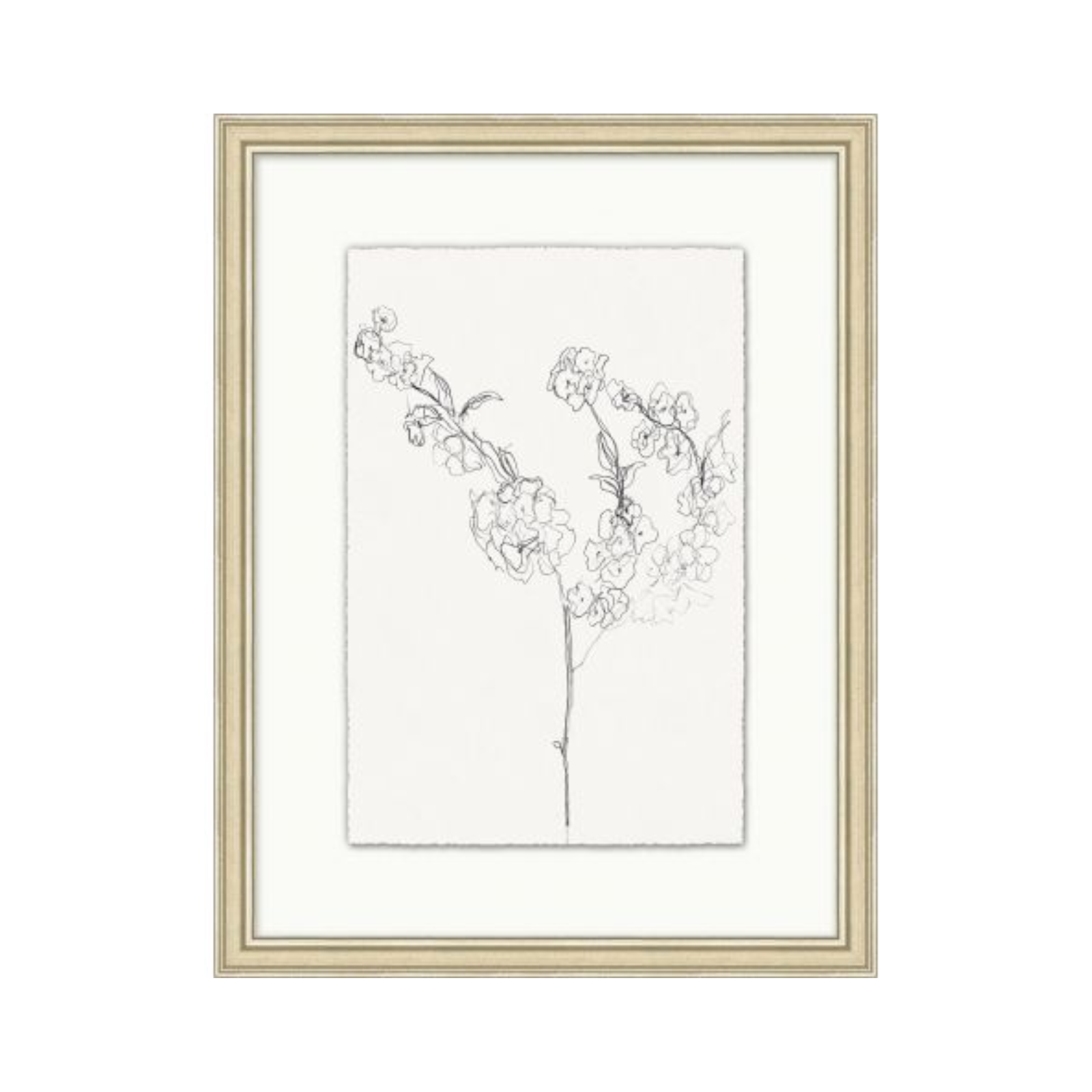 "Floral Sketch" Framed Art Print - Rug & Weave