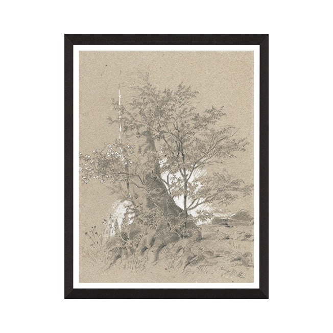 "Woodland Study II" Framed Art Print ARTWORK - framed art Northwood Collection