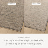 Loloi II Newman Slate / Natural Rug