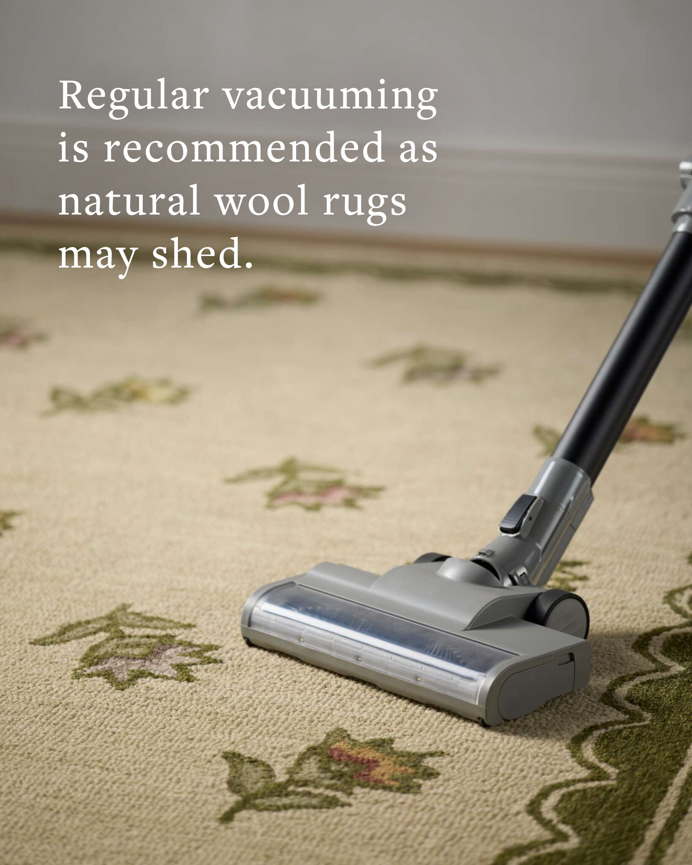 Chris Loves Julia x Loloi Norah Tan / Espresso Rug - Rug & Weave