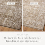 Magnolia Home by Joanna Gaines x Loloi Pace Bark / Natural Rug RUGS - synthetic Loloi 18" x 18" sample