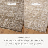 Magnolia Home by Joanna Gaines x Loloi Pace Bark / Natural Rug RUGS - synthetic Loloi 18" x 18" sample