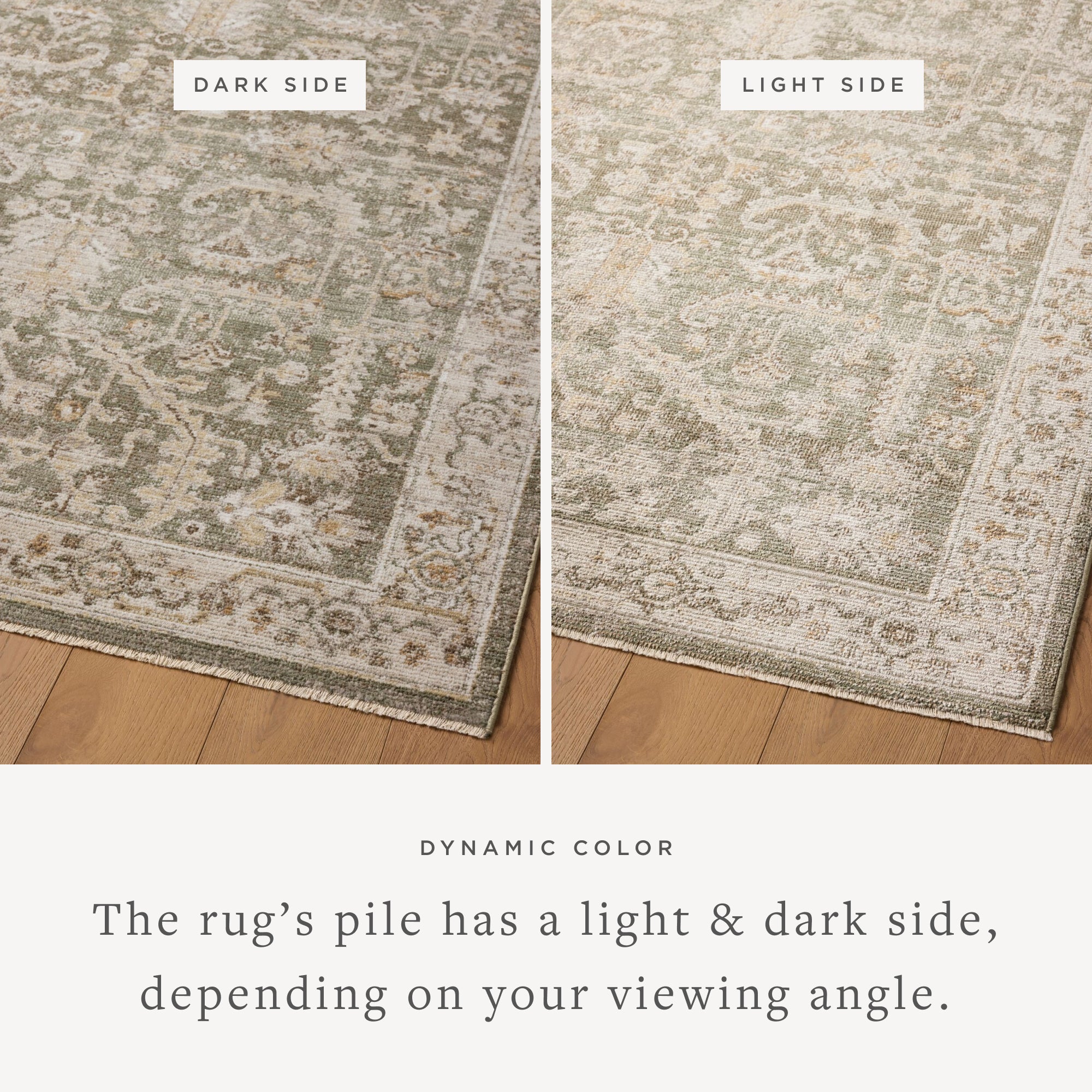 IN STORE - Magnolia Home by Joanna Gaines x Loloi Pace Forrest / Natural Rug RUGS - synthetic Loloi