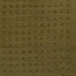 Patara Hand Woven Wool Area Rug RUGS - wool Momeni