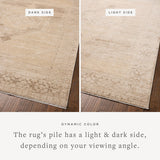 Chris Loves Julia x Loloi Palma Wheat / Taupe Rug