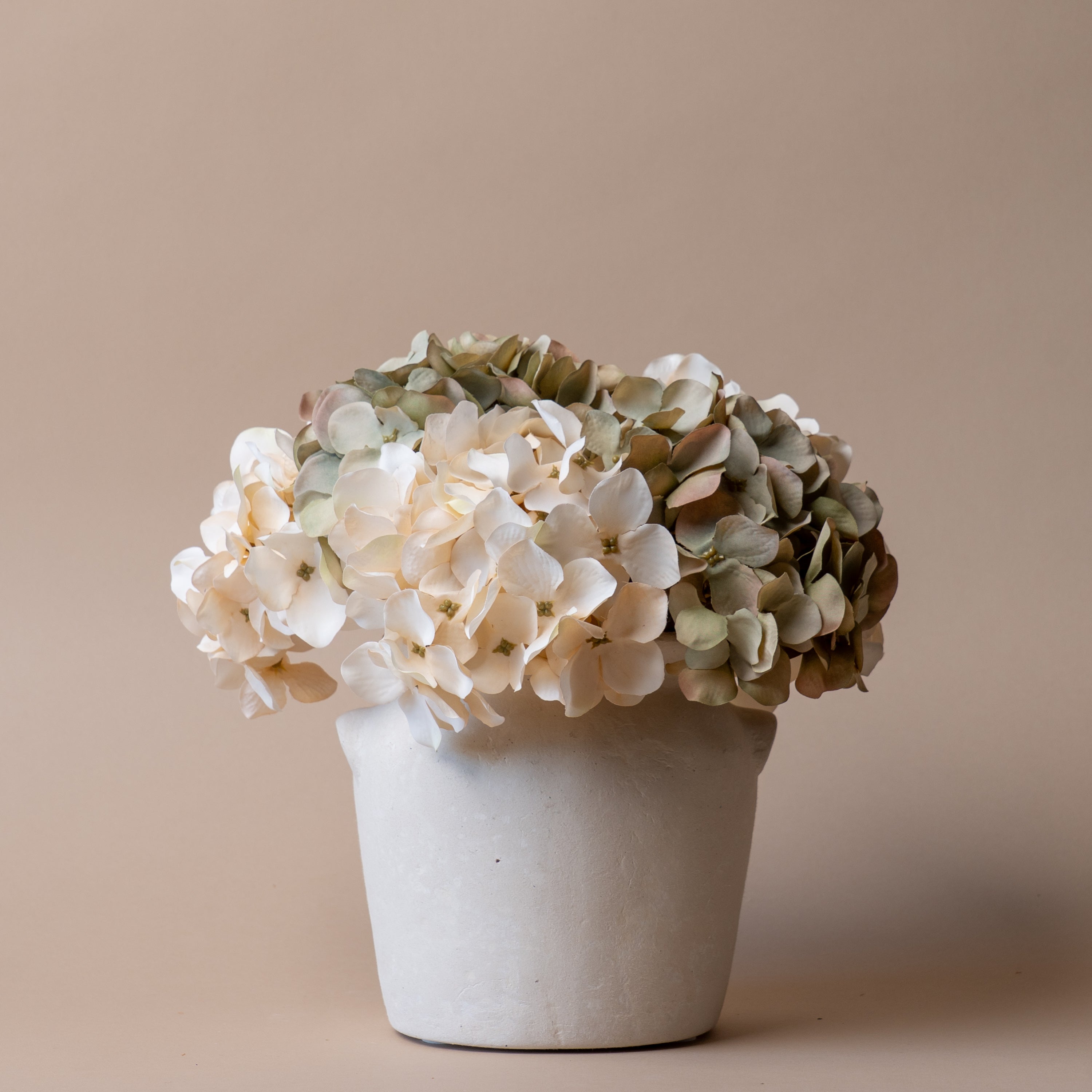 In Full Bloom, Always