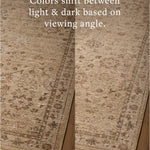 Magnolia Home x Loloi Storrie Wheat / Earth Rug - Rug & Weave