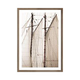 "Sails" Framed Art Print ARTWORK - framed print Celadon Art