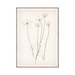 "Botanical Sketch III" Framed Art Print ARTWORK - framed print Celadon Art