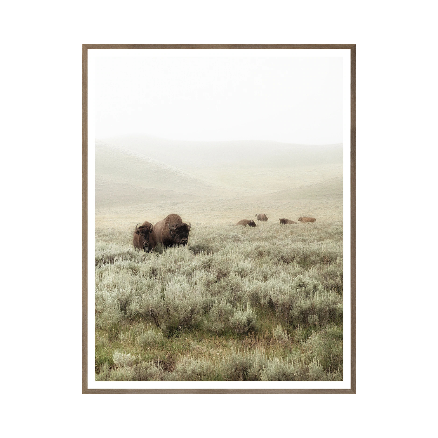 "Grazing Hills I" Framed Art Print ARTWORK - framed print Celadon Art