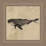 "Deep Sea Whale" Framed Art Print