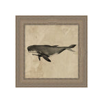 "Deep Sea Whale" Framed Art Print ARTWORK - framed art Wendover Art Group