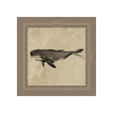Deep Sea Whale ARTWORK - framed art Wendover Art Group