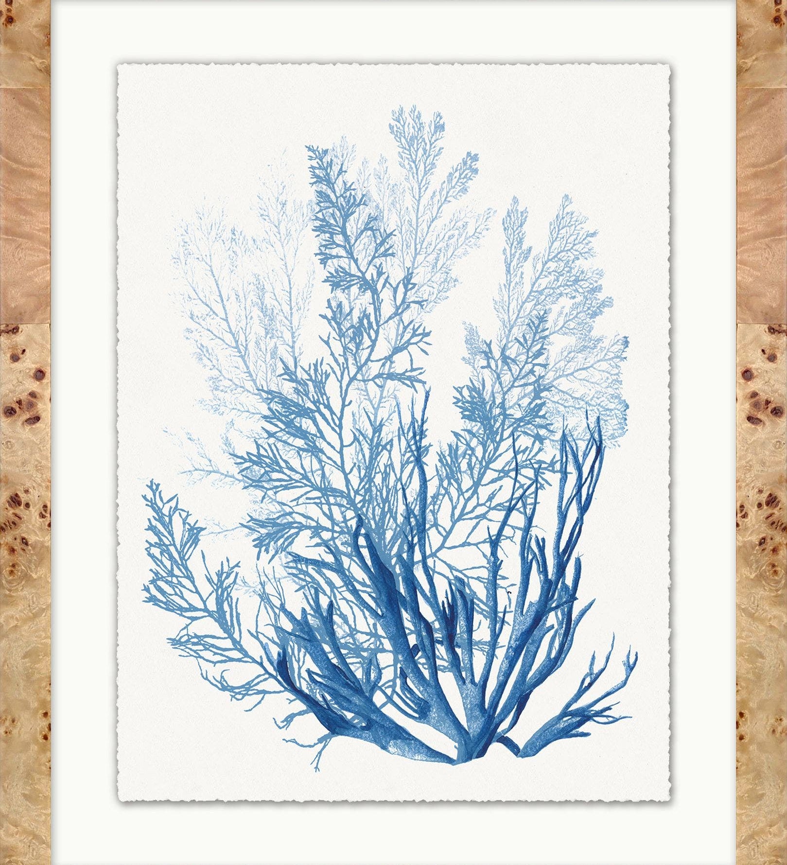 "Coral in Blue" Framed Art Print ARTWORK - framed art Wendover Art Group