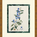 "Measured Beauty" Framed Art Print ARTWORK - framed art Wendover Art Group