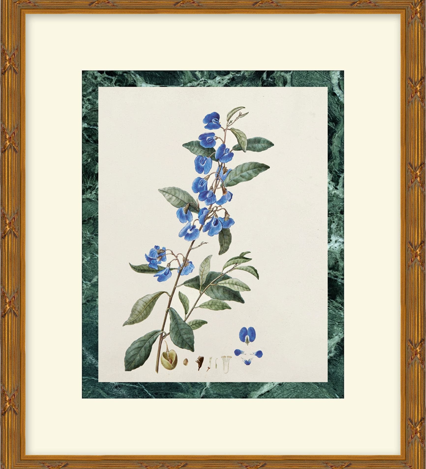 "Blossoms" Framed Art Print ARTWORK - framed art Wendover Art Group