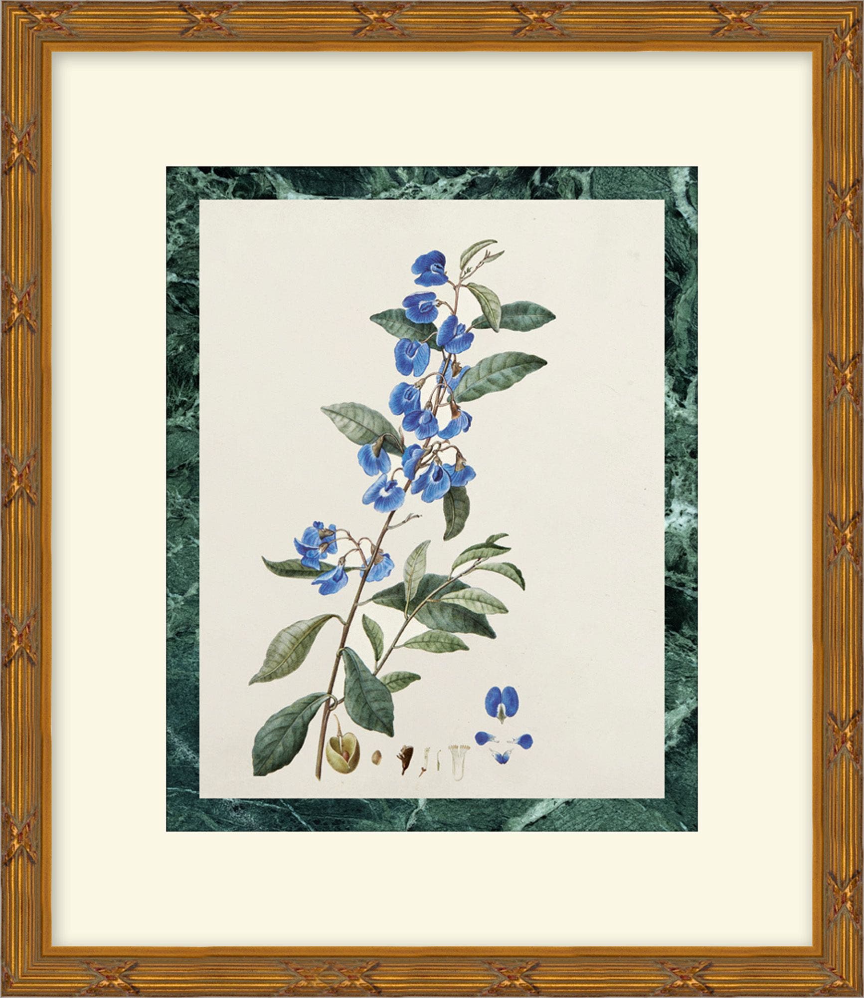 "Measured Beauty" Framed Art Print ARTWORK - framed art Wendover Art Group